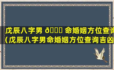 戊辰八字男 🐒 命婚姻方位查询（戊辰八字男命婚姻方位查询吉凶 ☘ ）